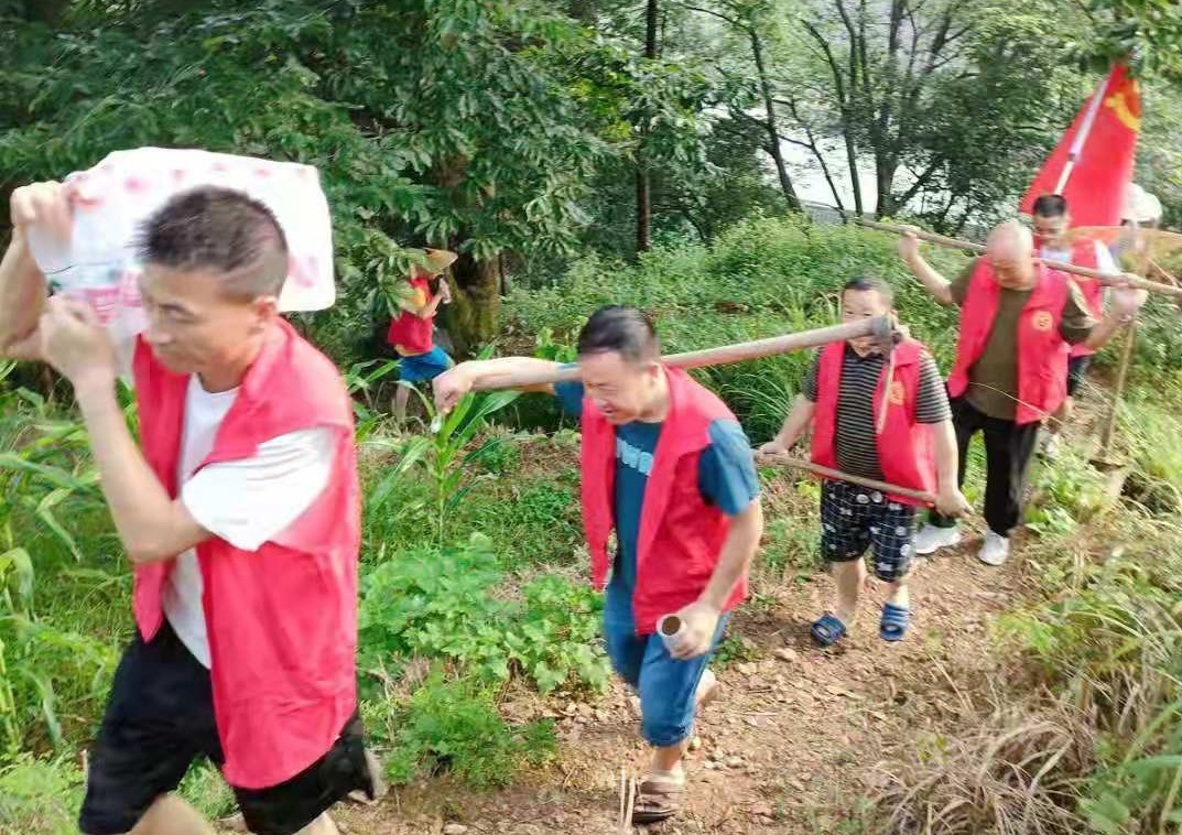 梅树村：勠力同心全力推进灾后重建