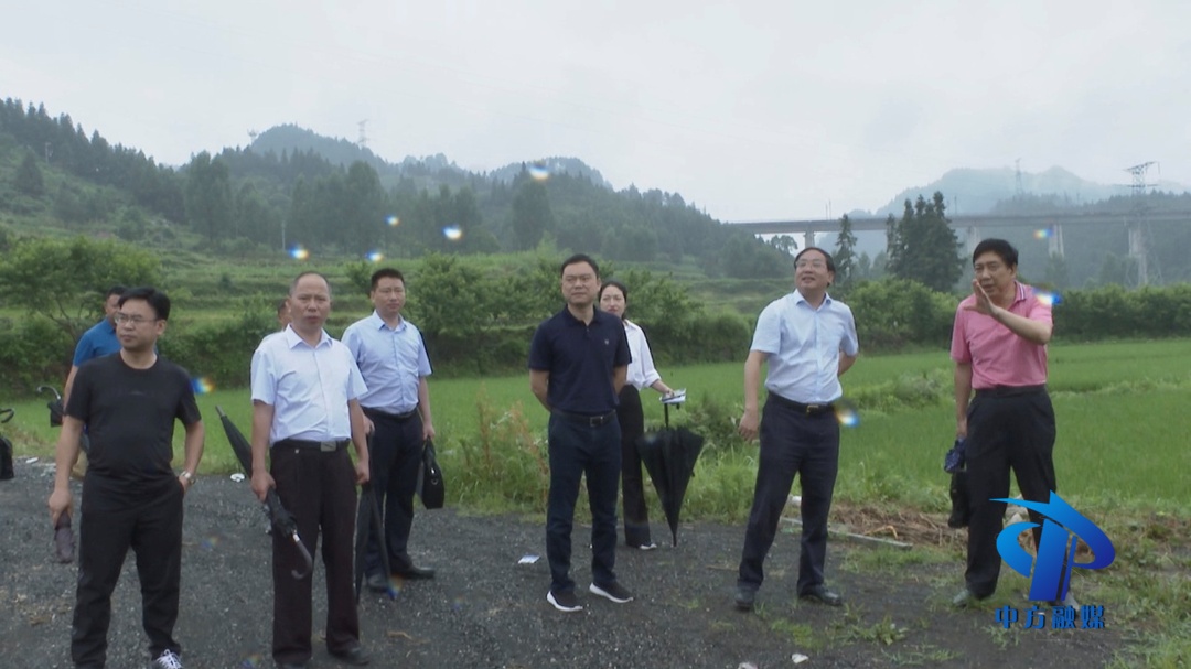 黄东红来中方县调研指导乡村振兴工作 胡杰参加