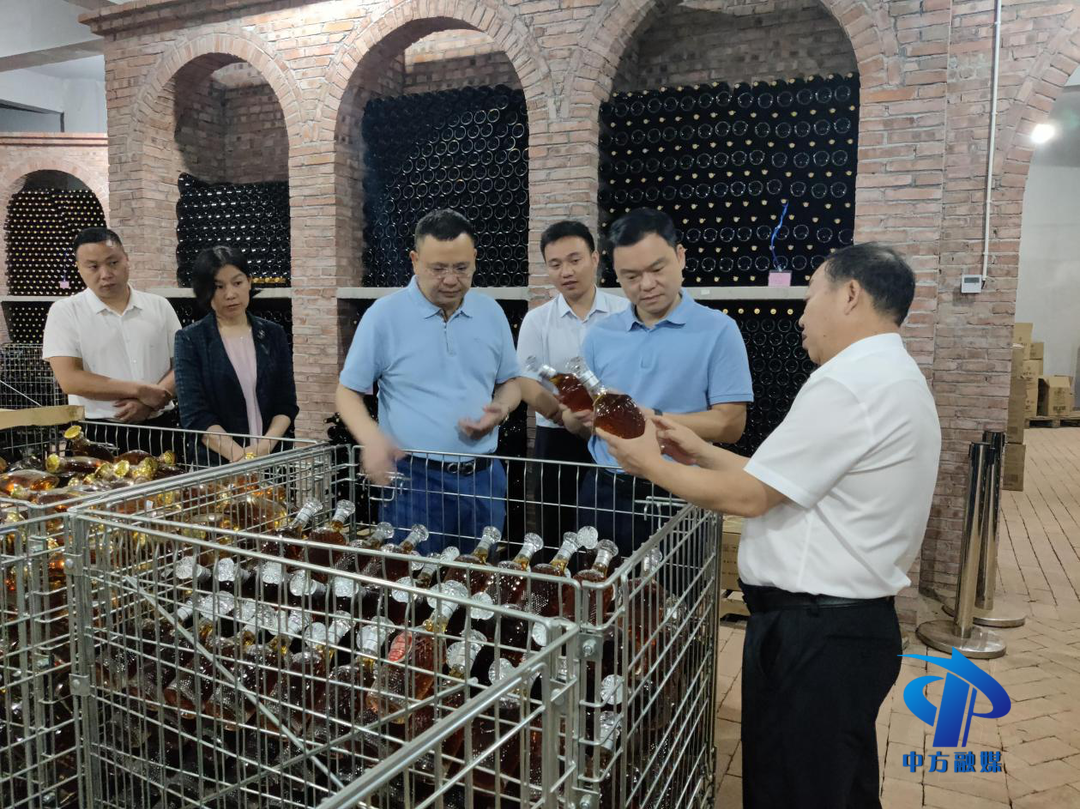 胡杰到桐木镇调研企业发展、安全隐患排查、医疗卫生等工作