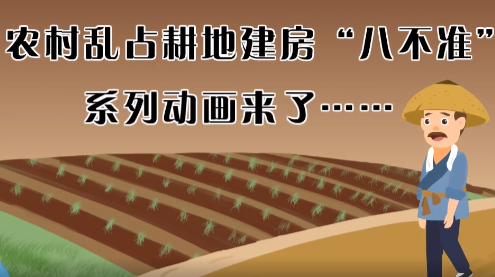 “八不准”动画 | ①不准占用永久基本农田建房