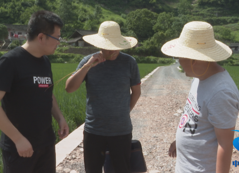 图集|中方：县农业农村局积极开展灾后恢复生产指导工作