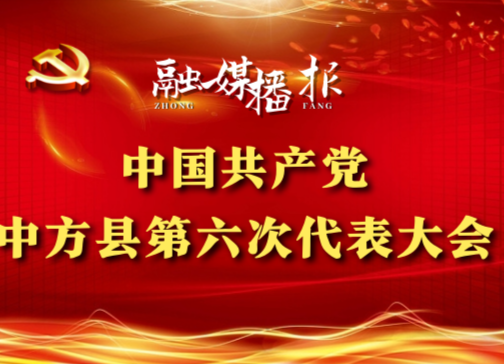 党代会现场直击|张家铣：深入实施亲商爱商母亲式服务行动