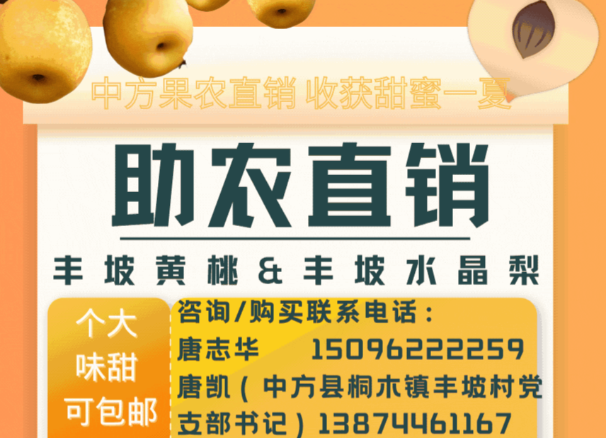 助农直销|丰坡黄桃&水晶梨！中方果农直销 个大味甜可包邮！
