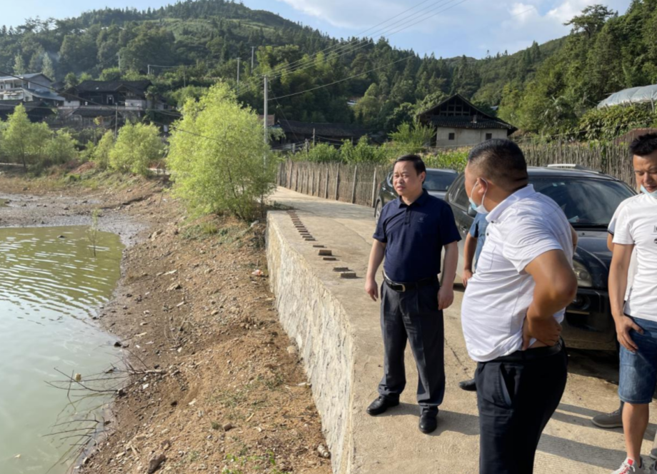 蔡迪文到花桥镇督导疫情防控及防溺水工作
