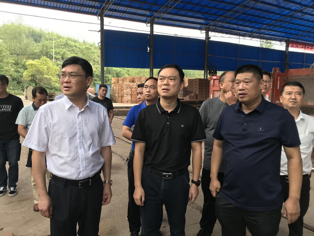 胡杰到泸阳镇现场督办中央环保督办件办理情况