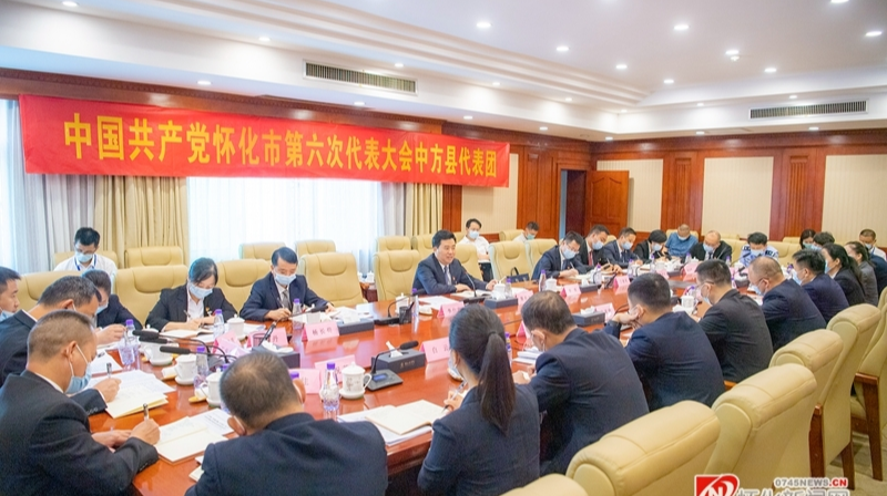 学会城市思维发展城市经济 谋划城市建设提升城市生活 黎春秋在中方县代表团参加讨论