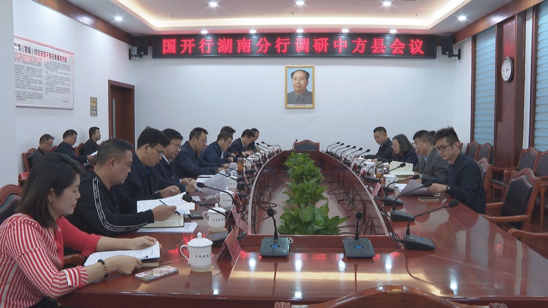 国开行湖南分行到中方县考察洽谈 张家铣参加