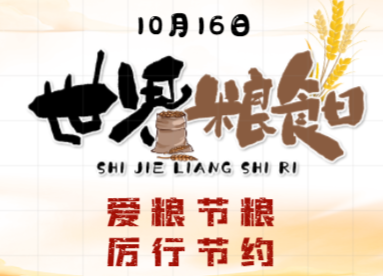 世界粮食日|节约粮食从我做起
