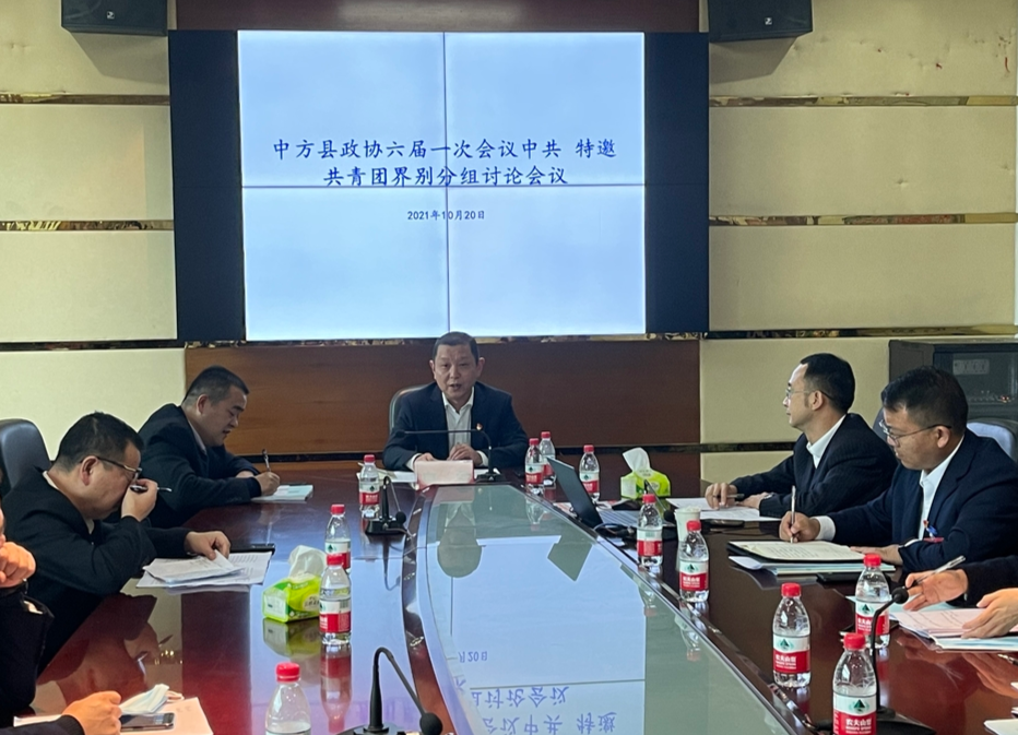 两会报道|白云参加县政协六届一次会议中共、特邀、共青团界别分组团讨论