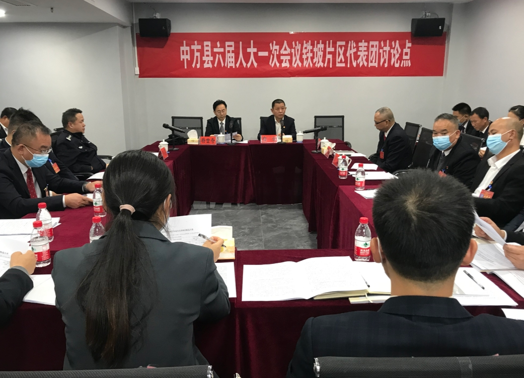 两会报道|白云等参加铁坡片区代表团分组讨论