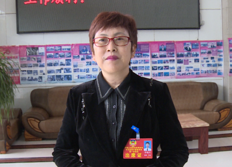 两会报道|政协委员热议政府工作报告：李晓红