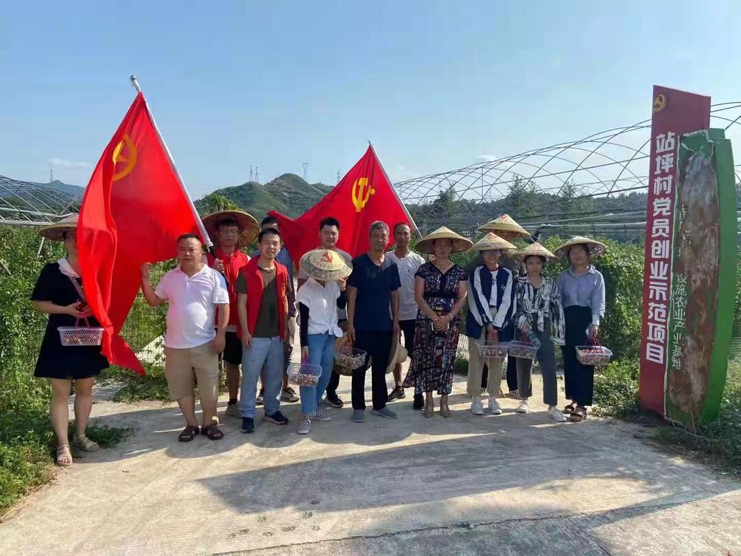 中方镇：振兴路上党旗红 “两茶一果”竞飘香
