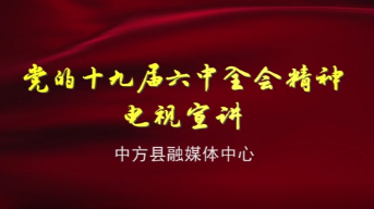 党的十九届六中全会精神电视宣讲（四、五）
