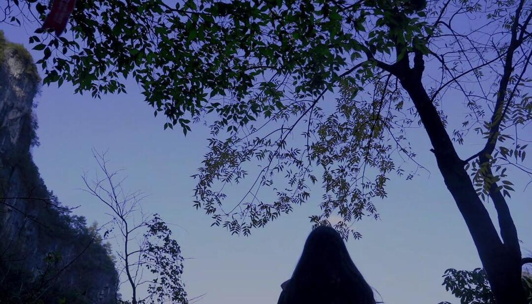 融媒视界|中方生态文化游（二）玩，融入山水笑开颜