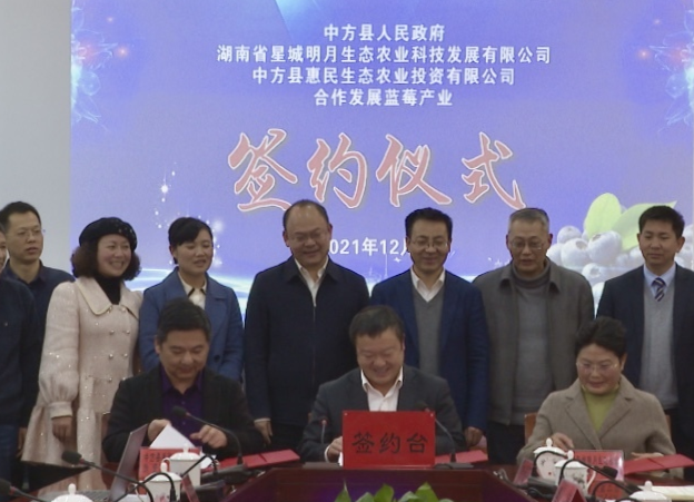 中方县举行蓝莓产业发展三方合作签约仪式 张家铣出席并讲话