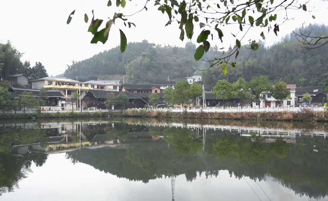 我们的小康生活|江坪：“豆腐村”的美日子