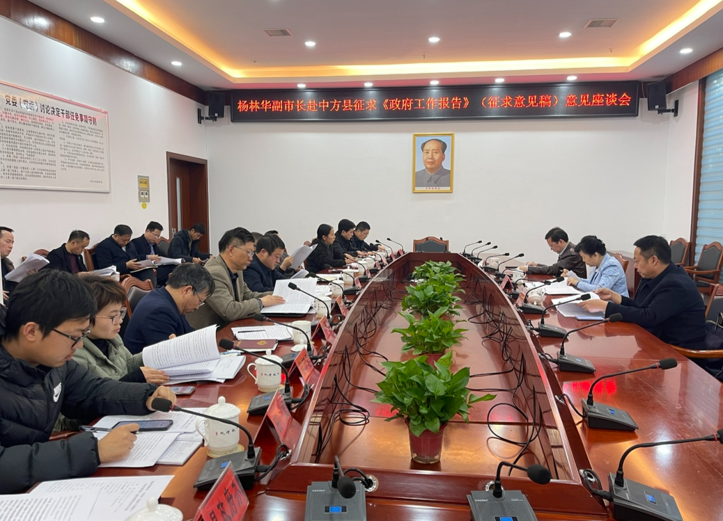 副市长杨林华就《市政府工作报告》来中方征求意见建议
