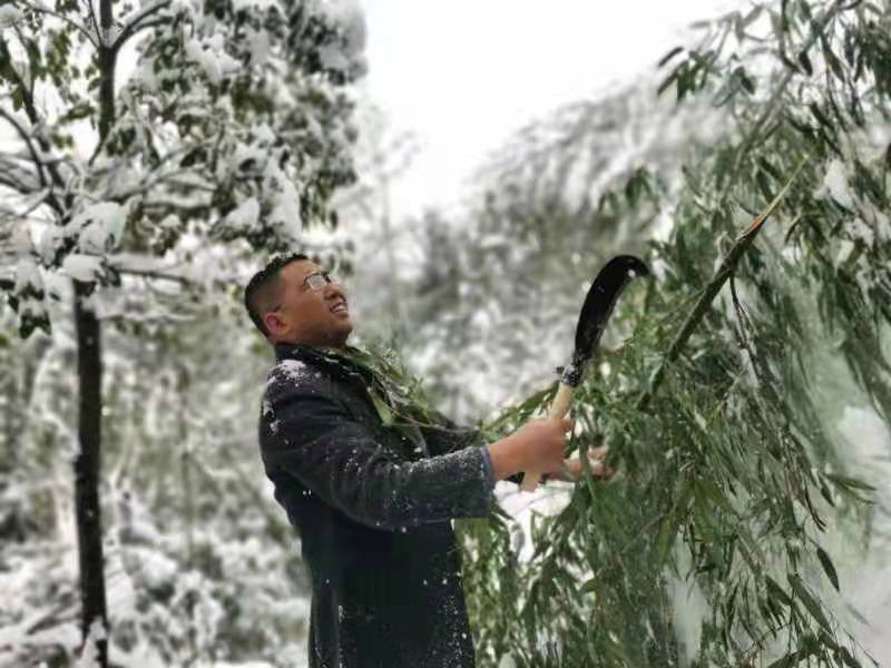花桥村：冒雪守护暖人心