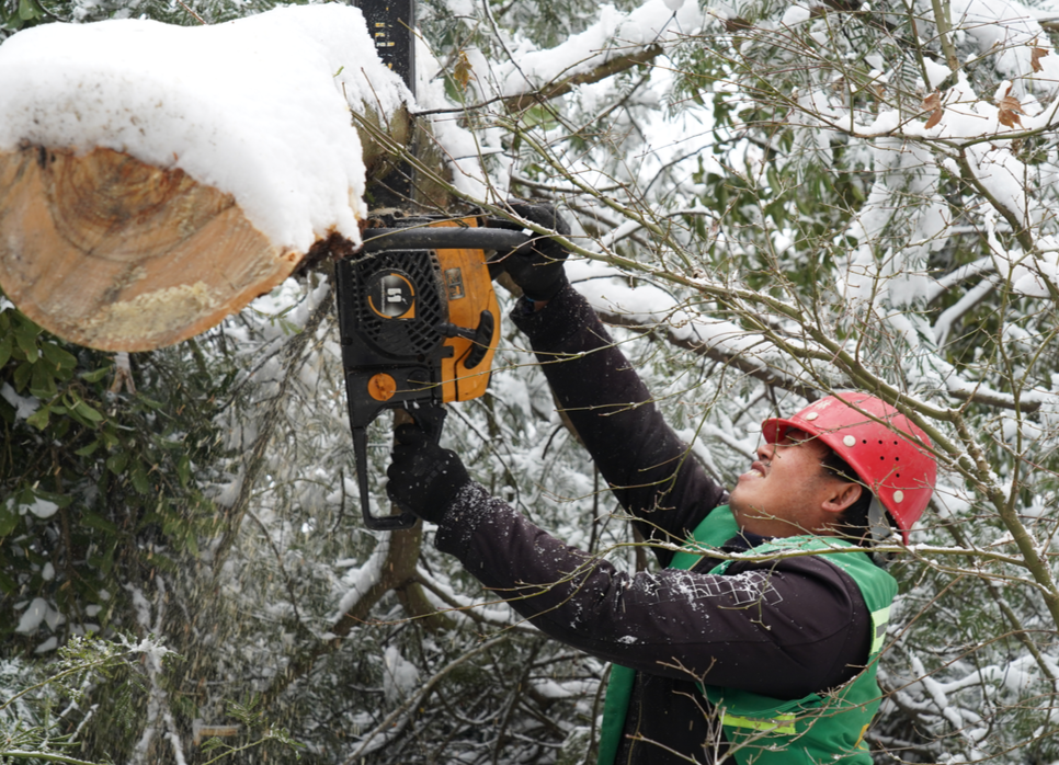 图集|中方：园林绿化工人冒雪清理压断树枝