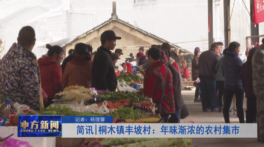 简讯|桐木镇丰坡村：年味渐浓的农村集市