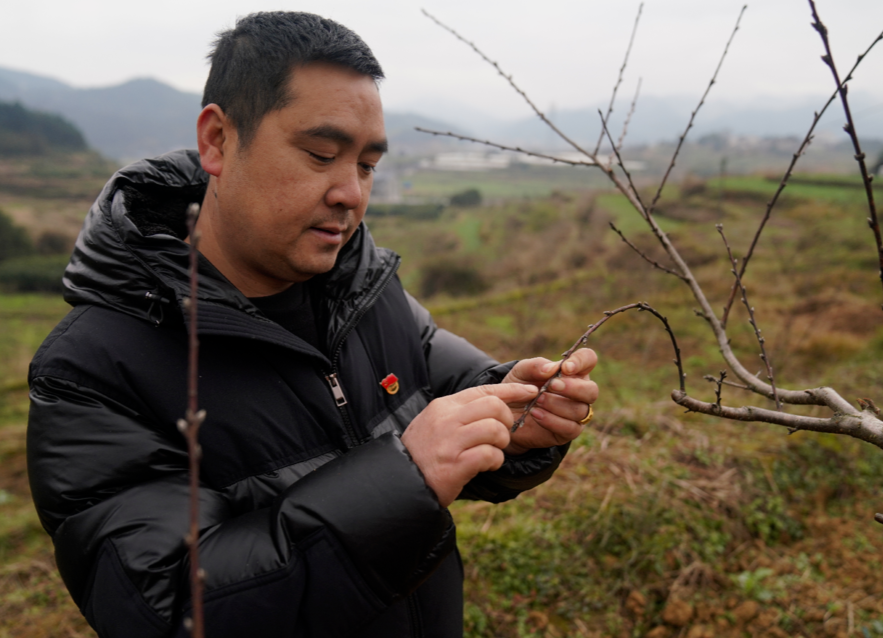 一起向未来|人勤春来早：春风助勤人——中方县种植大户山头春耕忙