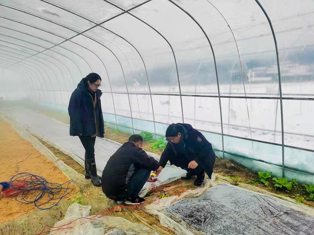 新建镇：党员干部先锋行 破冰除雪暖人心