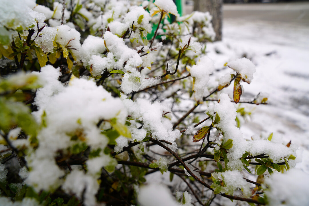 雪景中的中方  披上迷人素白“外衣”