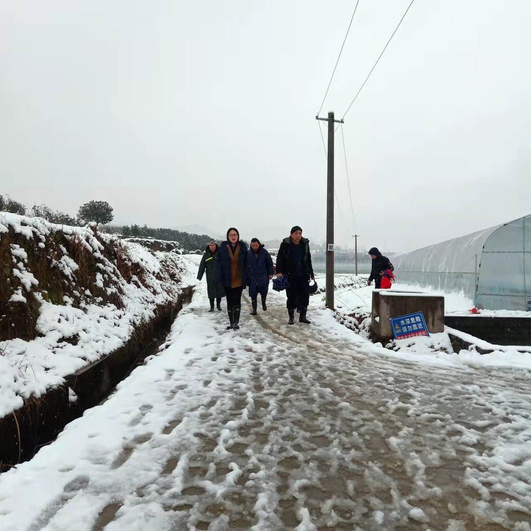 新建镇：全力除雪  守护集体经济发展果实