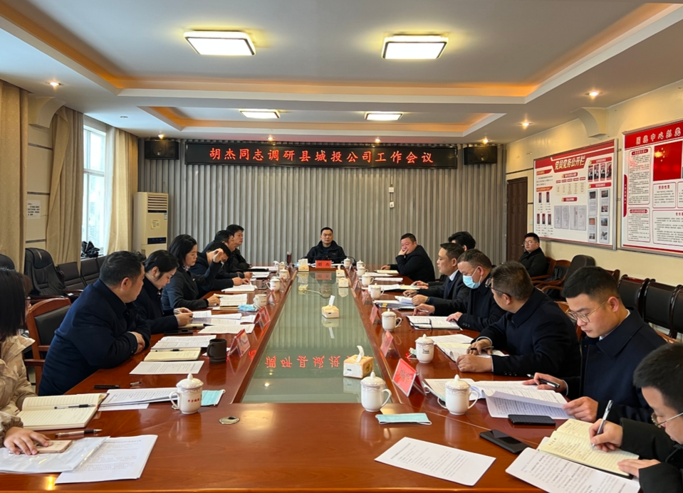 胡杰调研县城投公司工作