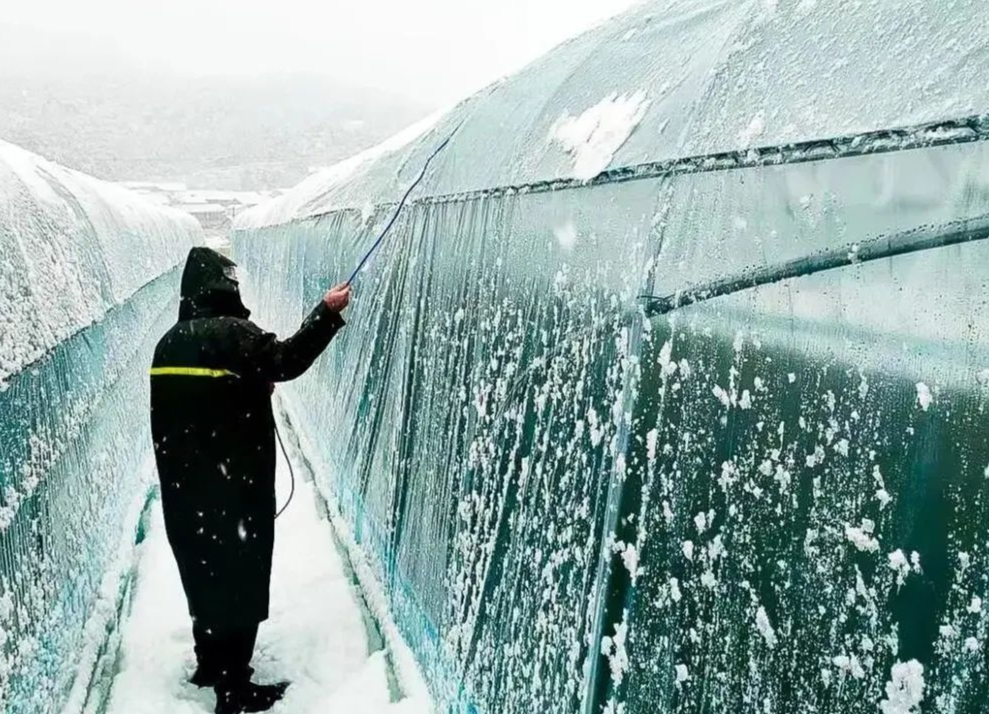冰雪在一线|风雪中，我们在中方坚守！