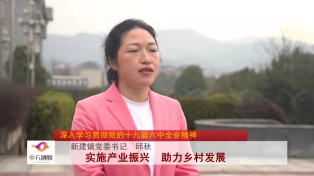 深入学习贯彻党的十九届六中全会精神|新建镇邱秋：实施产业振兴  助力乡村发展