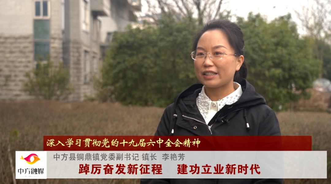 深入学习贯彻党的十九届六中全会精神｜铜鼎镇李艳芳：踔厉奋发新征程  建功立业新时代