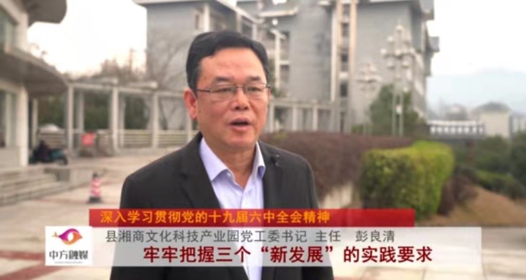 深入学习贯彻党的十九届六中全会精神|县湘商文化科技产业园彭良清：牢牢把握三个“新发展”的实践要求