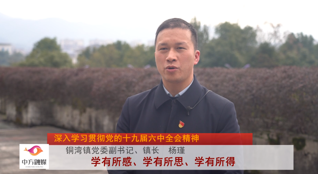 深入学习贯彻党的十九届六中全会精神|铜湾镇杨瑾：学有所感、学有所思、学有所得