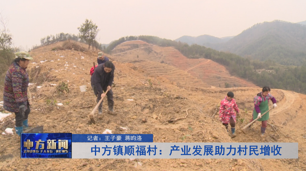 中方镇顺福村：产业发展助力村民增收