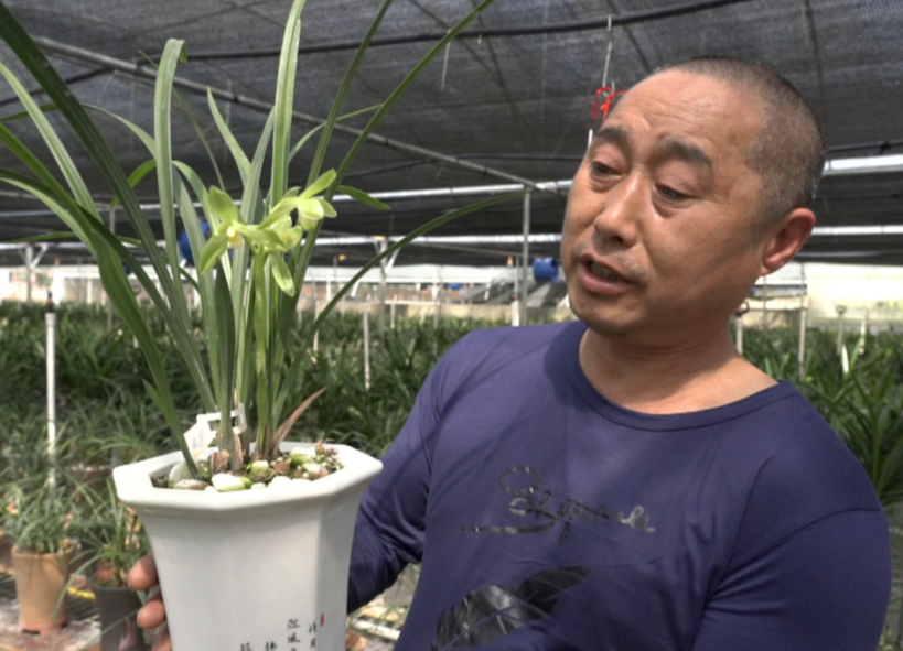 希望的田野|中方：“一村一品” 种出新花样