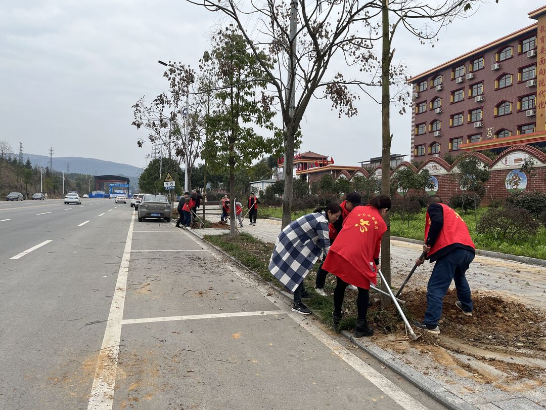 350名干部职工参与义务植树活动 中方掀起植树造林热潮