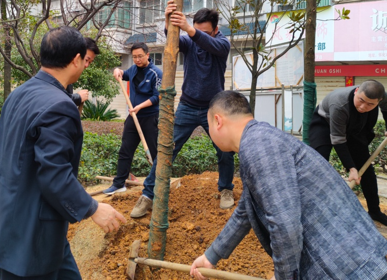县住建局开展义务植树活动