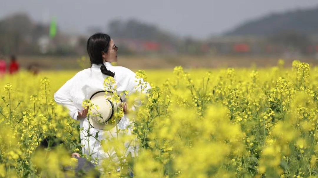 接收春日浪漫 中方12.1万亩油菜花海最全打卡地出炉！