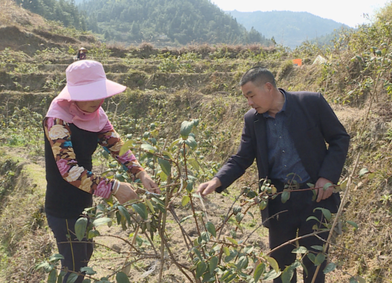 中方：夫妻同心 耕地复垦勤致富