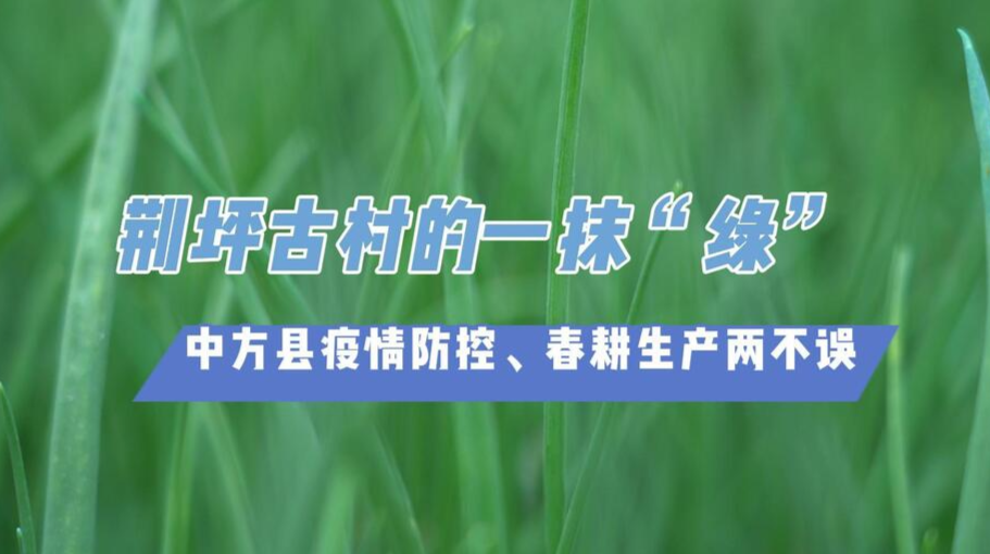 荆坪古村的一抹“绿”——中方县疫情防控、春耕生产两不误