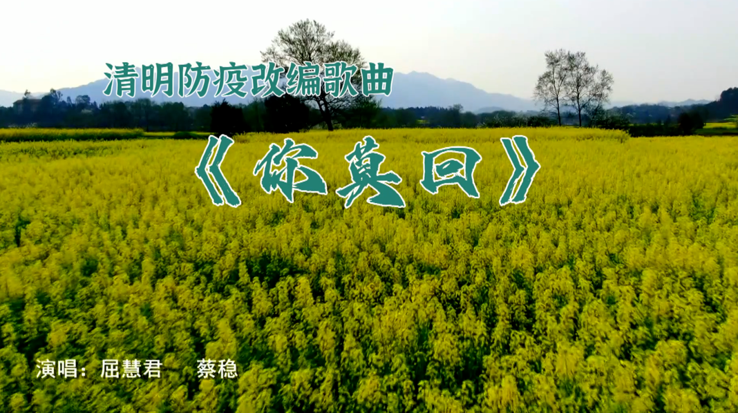 清明防疫改编歌曲《你莫回》