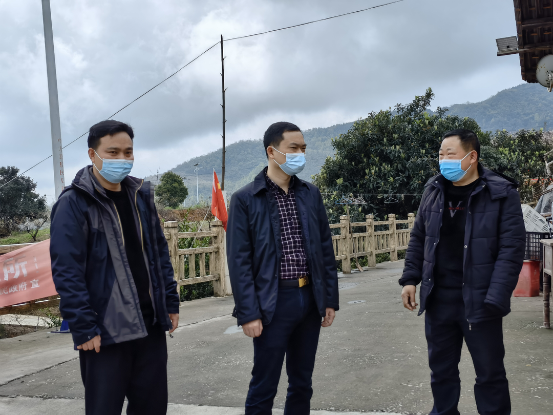 胡杰到桐木镇半界村督导疫情防控工作