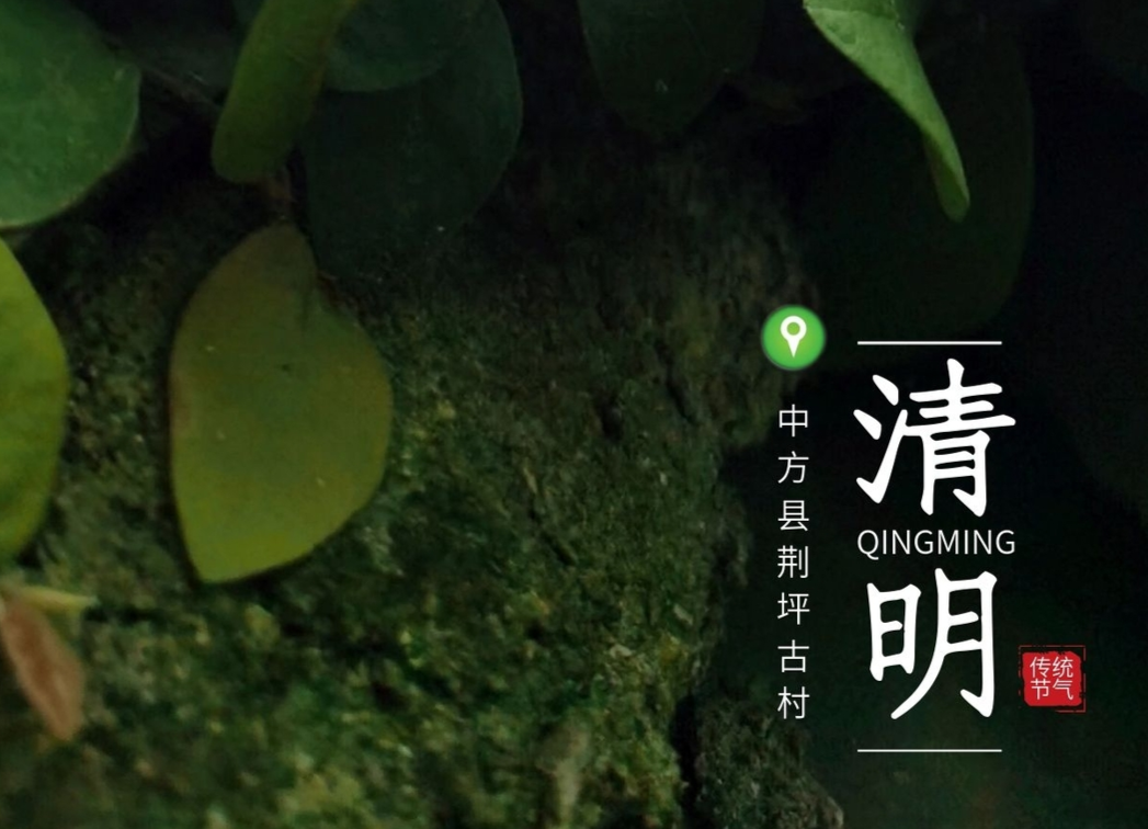 海报|@中方人 清明防火 人人有责