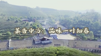 茶香中方：品味一叶知春