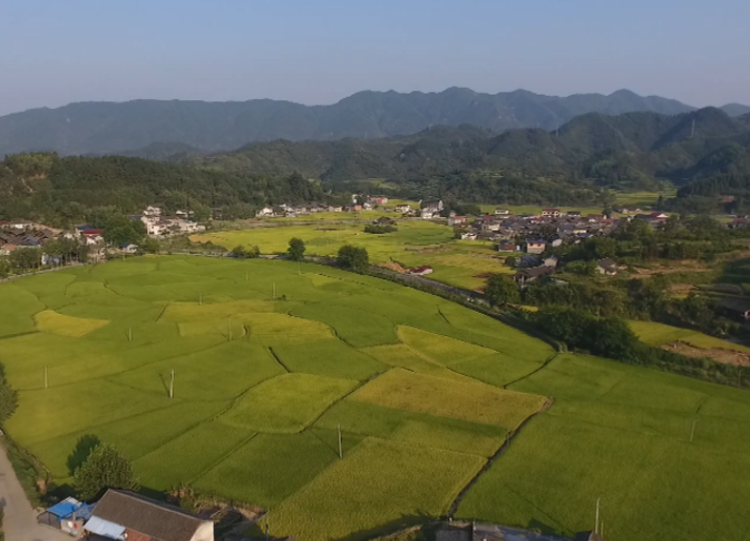 希望的田野|中方花桥：水轮泵助农抗旱保春耕