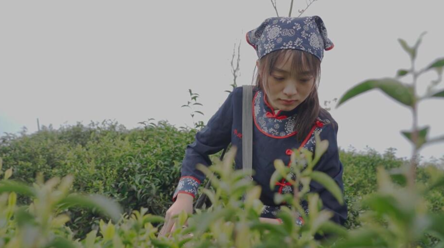 一起向未来|“95后”北漂回乡带货带来发展新活力