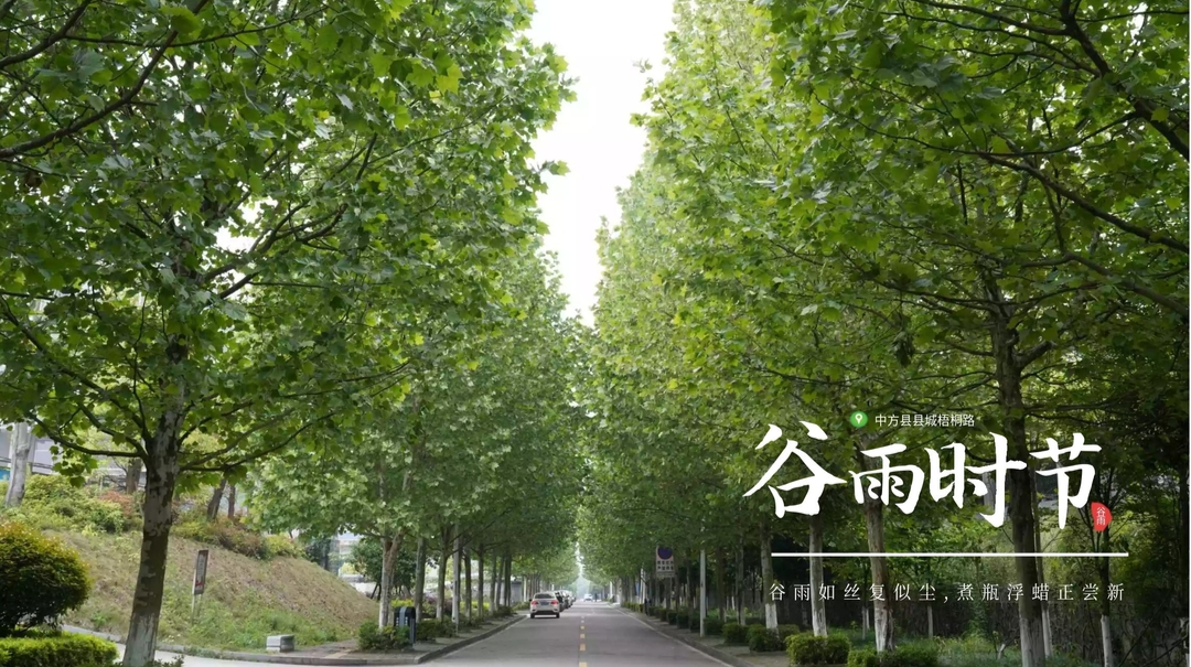 海报|今日谷雨 一组县城春日美景送给你