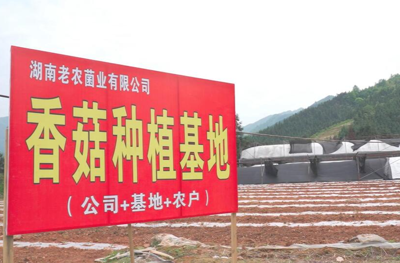 第五届“中国创翼”创业创新大赛中方县选拔赛参选项目：湖南老农菌业有限公司