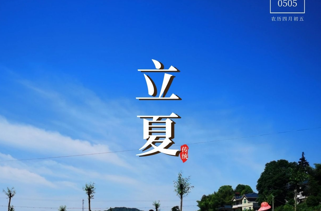 海报|初夏已立 万物生长